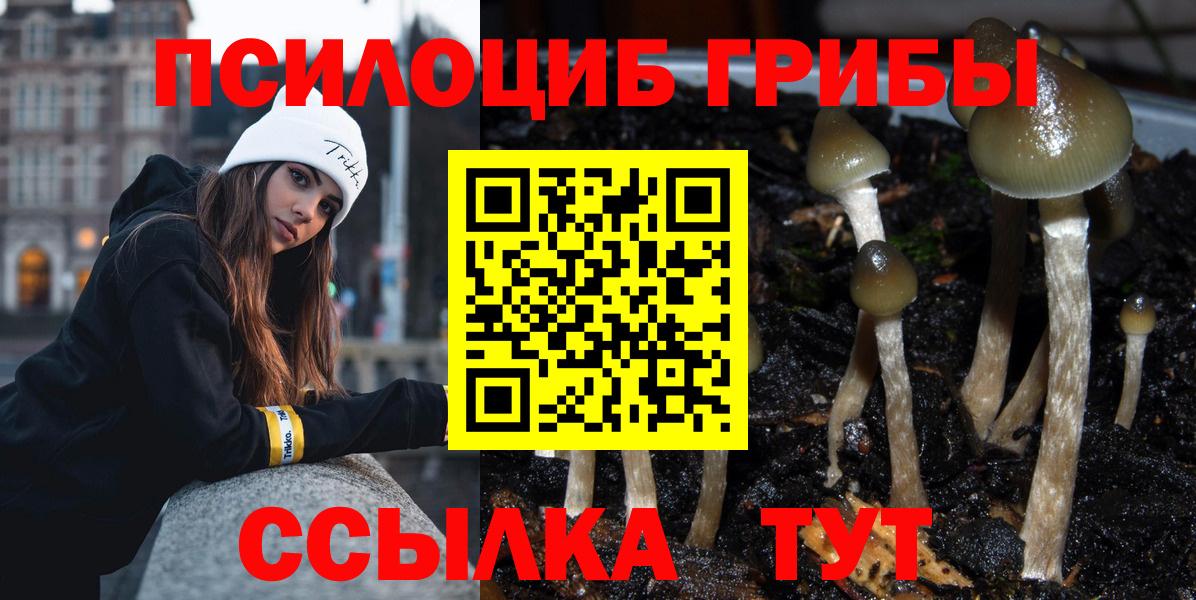 Псилоцибиновые грибы MAGIC MUSHROOMS Еманжелинск